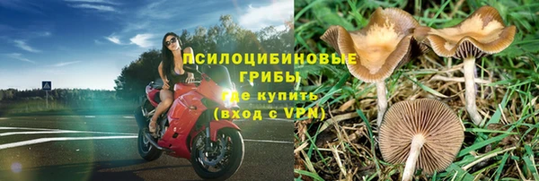 MESCALINE Алексеевка