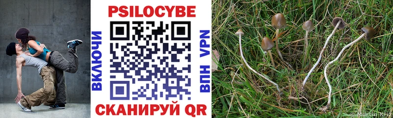 Галлюциногенные грибы ЛСД купить Камышлов