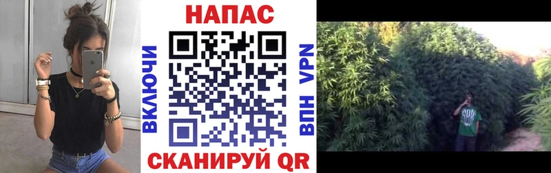 Конопля AK-47  это какой сайт  Камышлов 
